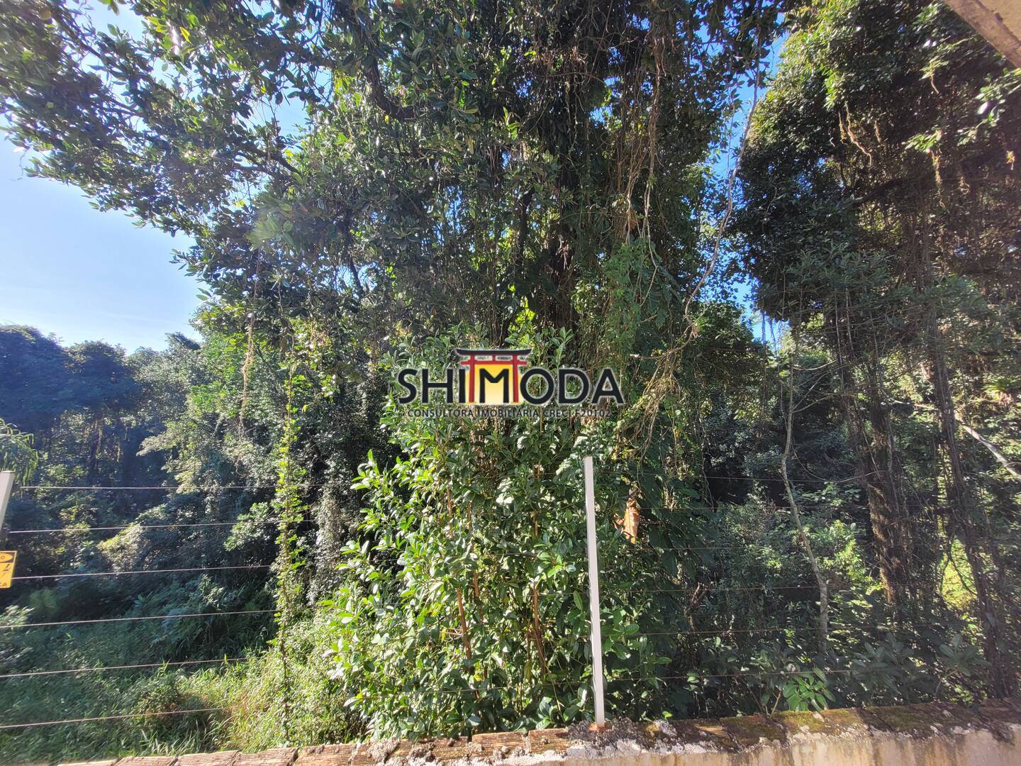 Sobrado à venda e temporada com 5 quartos, 293m² - Foto 37